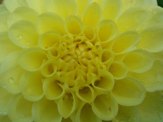 425489 (a): :1024x768